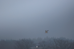 0O0A3350