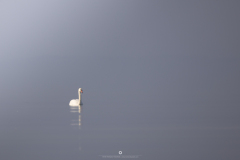 0O0A9694