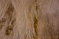 13F3B42C-C84A-41D7-8071-4268801D010B