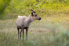 3_IMG_0677