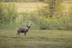 4_IMG_0683