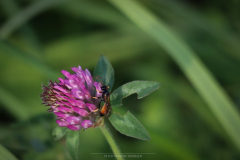 E4B6E023-410F-4A04-B374-7D1C6AD29629