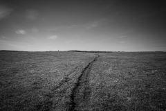 IMG_4291