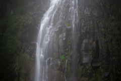IMG_5455