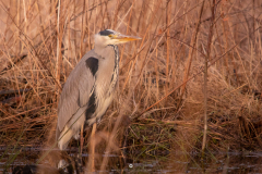 IMG_5727